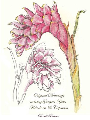 cover image of Original Drawings Including Ginger, Yew, Hawthorn & Capsicum